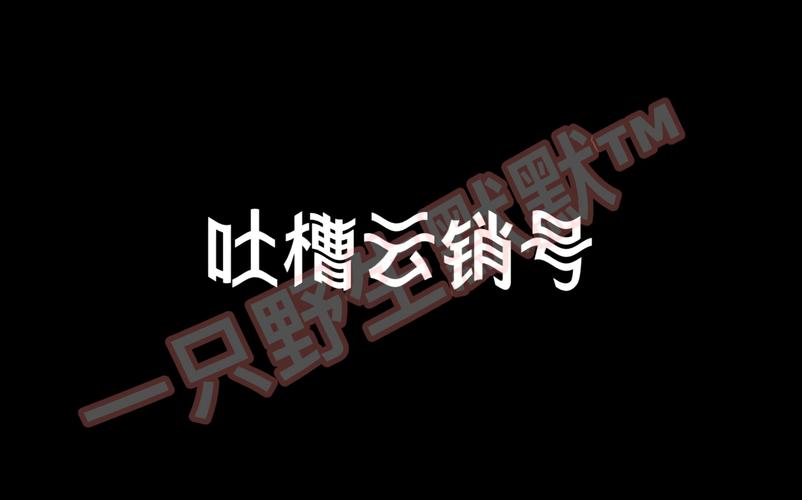  四川人BBBBB桑BBBB：一段来自家乡的温暖故事