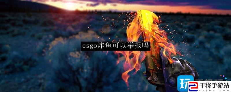 csgo炸鱼可以举报吗-炸鱼可以举报吗详情