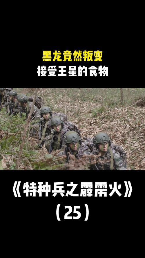 当“吃特种兵的大黑龙”遇上勇者的挑战