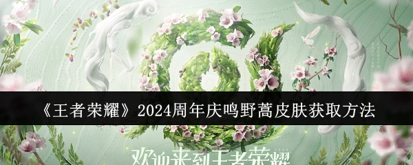 王者荣耀2024周年庆鸣野蒿皮肤获取方法：隐藏功能解锁方法