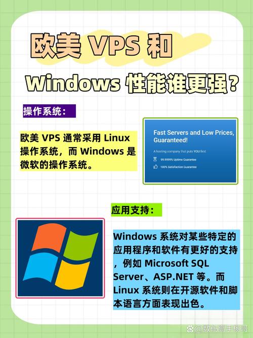 欧美VPSWINDOWS极品