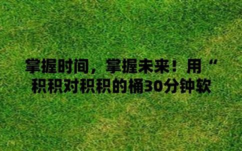  揭秘“积积对积积的桶30分软件”：提升学习效率的新利器