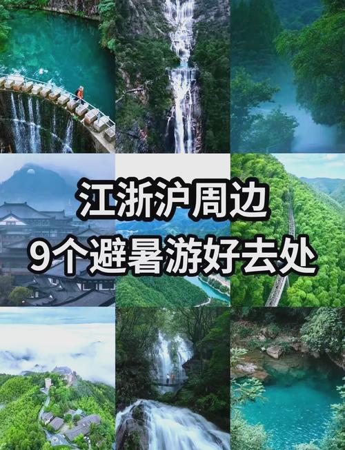 “探索神奇世界：x7x7任意噪入口直达大象的旅程”