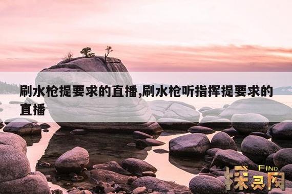 刷水枪提要求直播app大全