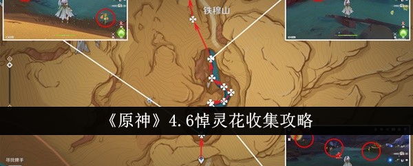 原神4.6悼灵花收集攻略 原神4.6悼灵花怎么收集