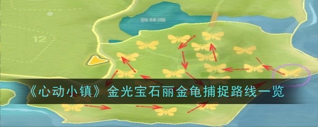 心动小镇金光宝石丽金龟捕捉路线一览：游戏资源管理与积累技巧