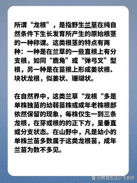 内容丰富用龙根养大的公主姜宜珠姜封，网友：你真的相信吗？