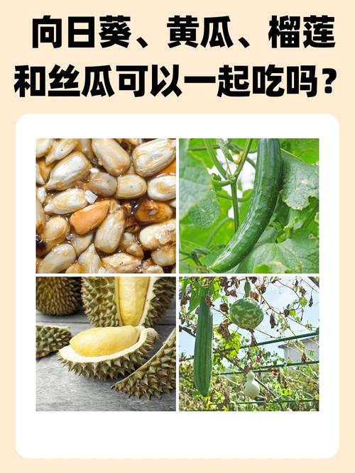  草莓、榴莲、向日葵和丝瓜,网友：这些奇妙组合的背后，竟然藏着这样的故事！