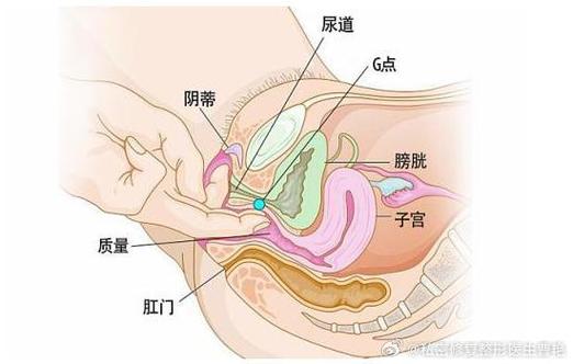 大荫蒂BBBBBB大荫蒂，网友：这是我们期待的娱乐新模式！