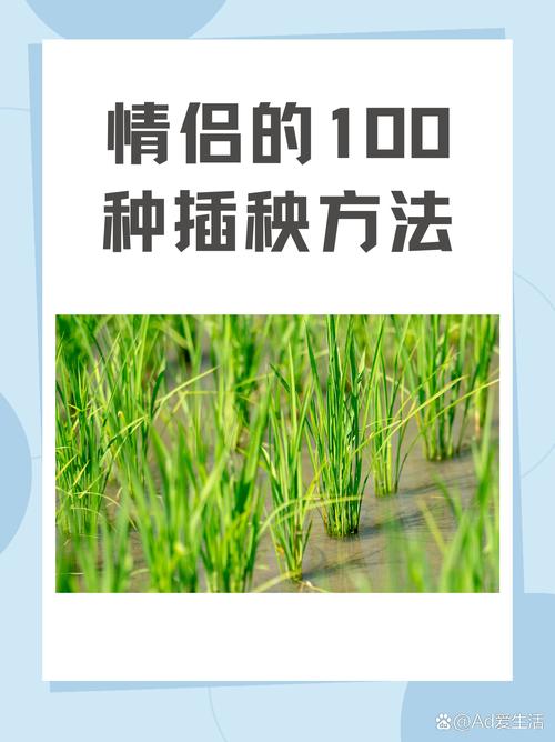 内容丰富夫妻插秧38种方法图片大全，助你轻松掌握水稻种植的技巧