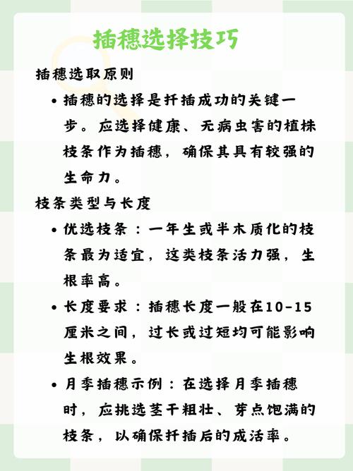 家居植物爱好者必看：床上进行72种植物扦插，网友：生活原来可以如此丰富