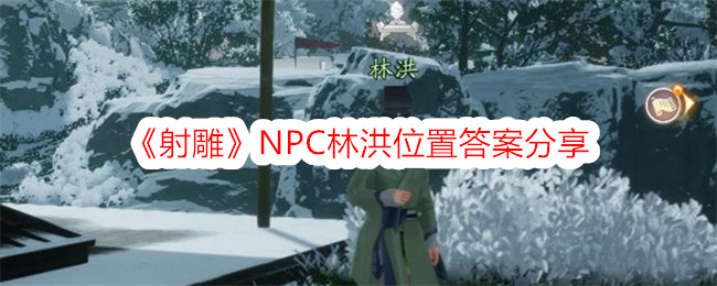 射雕NPC林洪位置答案分享 NPC在哪里