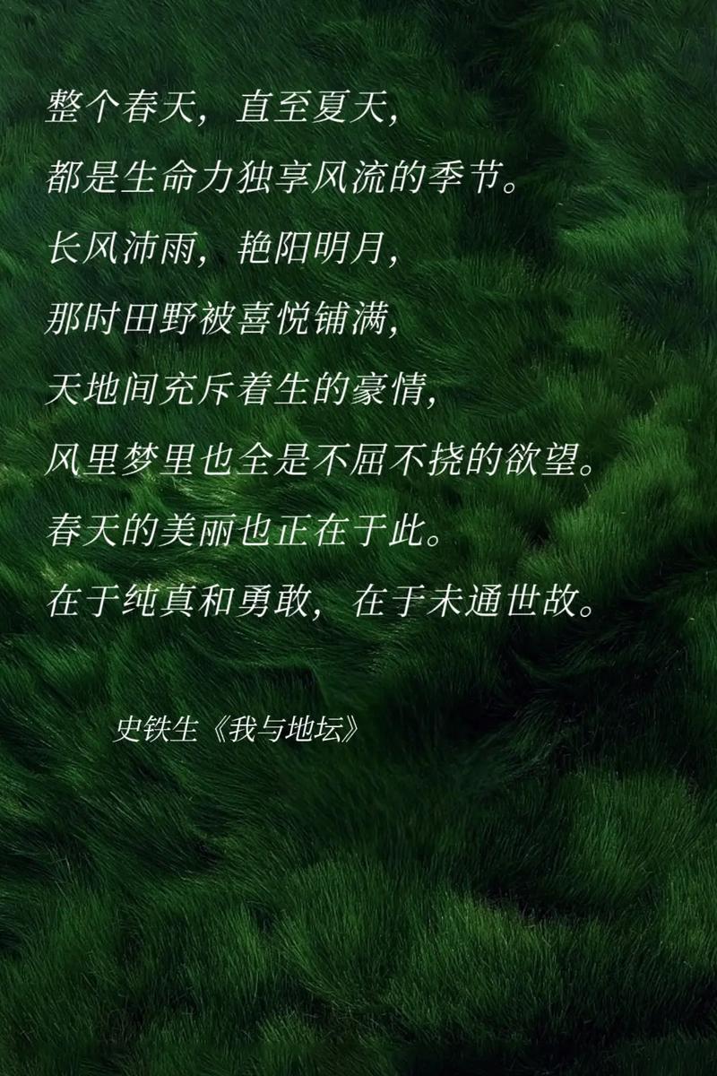 三角地茂盛的萋萋芳草露珠如珠似玉，网友：心中不禁荡漾