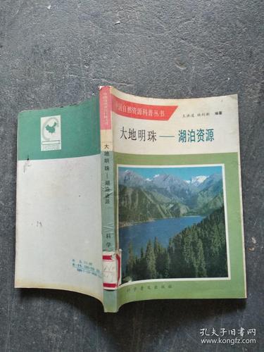 大地资源第二页中文高清版,网友：这部作品开启了视觉享受的新篇章！