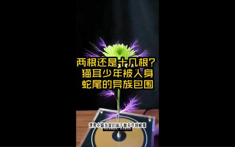  生活的选择：两根还是十几根？