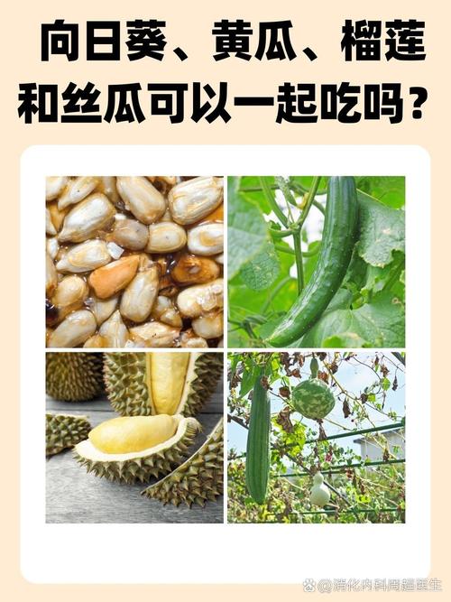  营养满满的美食探索：榴莲秋葵向日葵茄子丝瓜大全