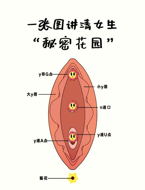 揉小花园的基础手法教学图解