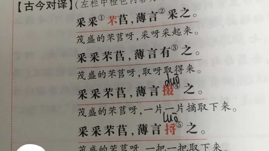 扌桑辶畐的背景故事